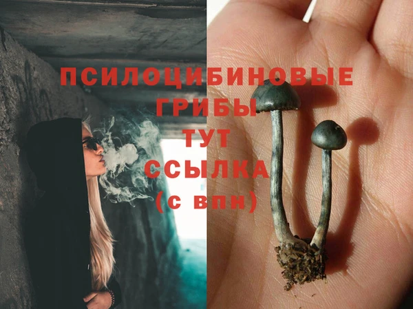 МДМА Новозыбков
